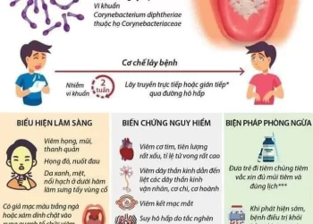 Tăng cường công tác phòng, chống dịch bệnh Bạch hầu