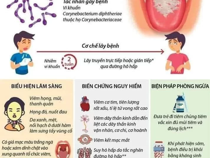 Tăng cường công tác phòng, chống dịch bệnh Bạch hầu